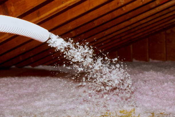 Best Insulation Maintenance and Repair in St Paul, NE